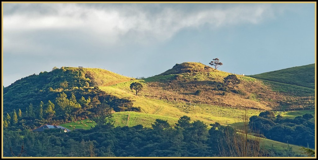 Hills above Coromandel by nzkites