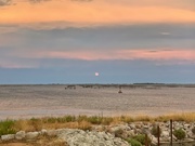 8th Aug 2020 - Pink sunset on étang de Thau. 