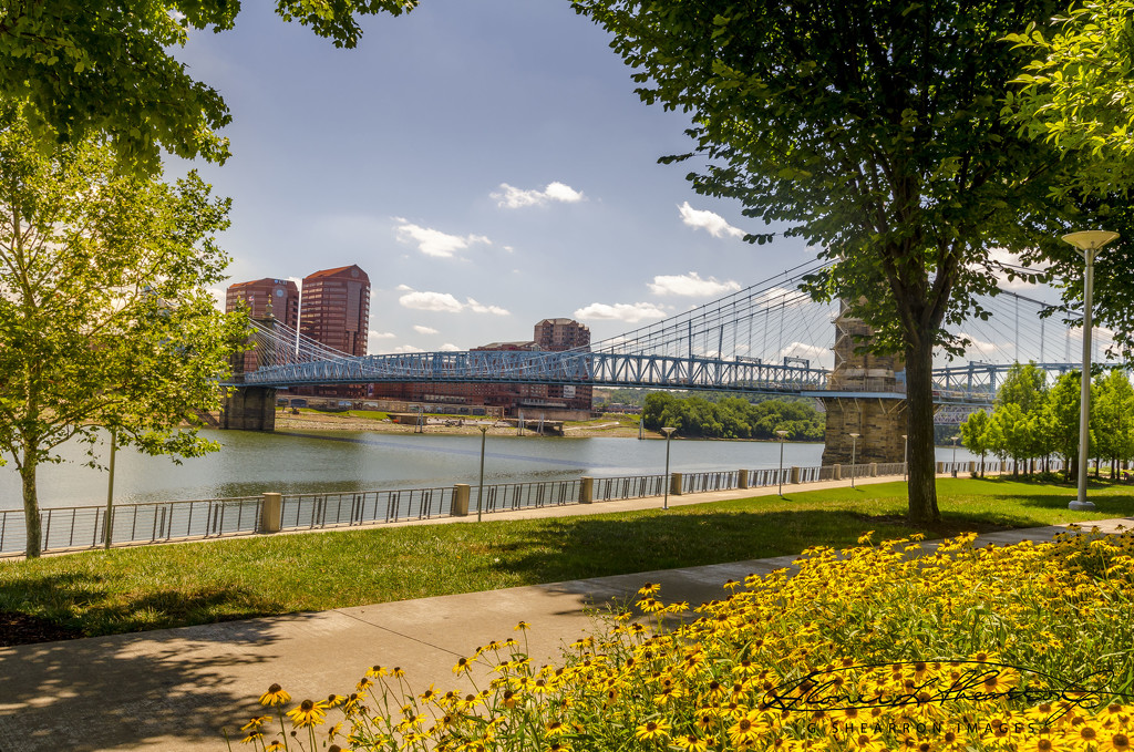 View From Smale Park at Riverfront by ggshearron
