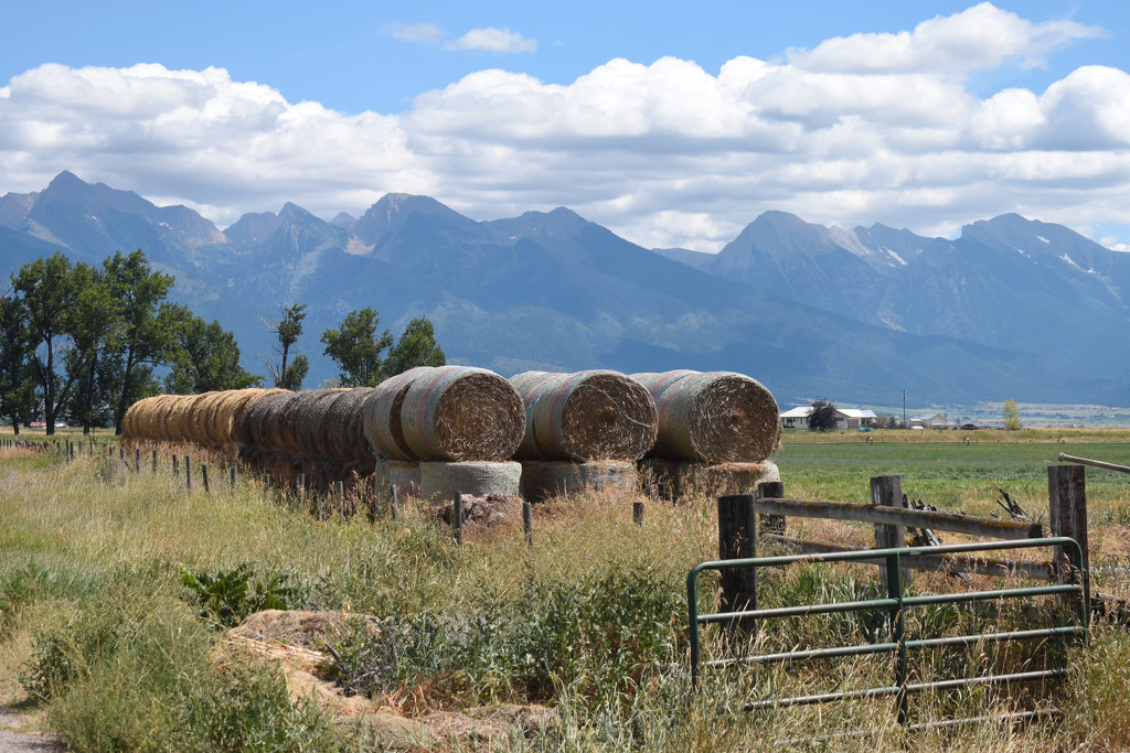 Haying Time in Big Sky Country by bjywamer