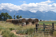 7th Aug 2020 - Haying Time in Big Sky Country