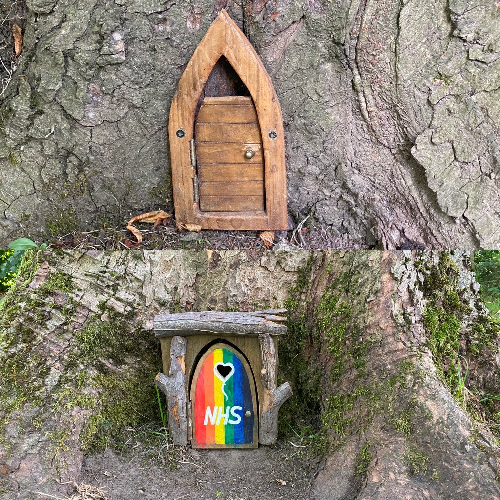 Fairy Doors  by judithmullineux