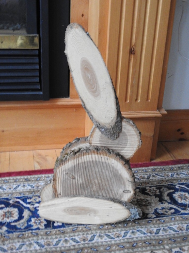 Bunny by sunnygreenwood