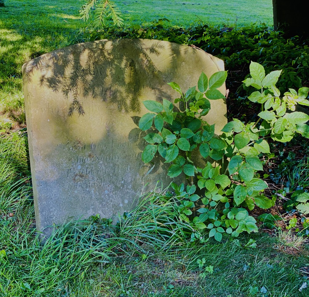 Graveyard by judithmullineux