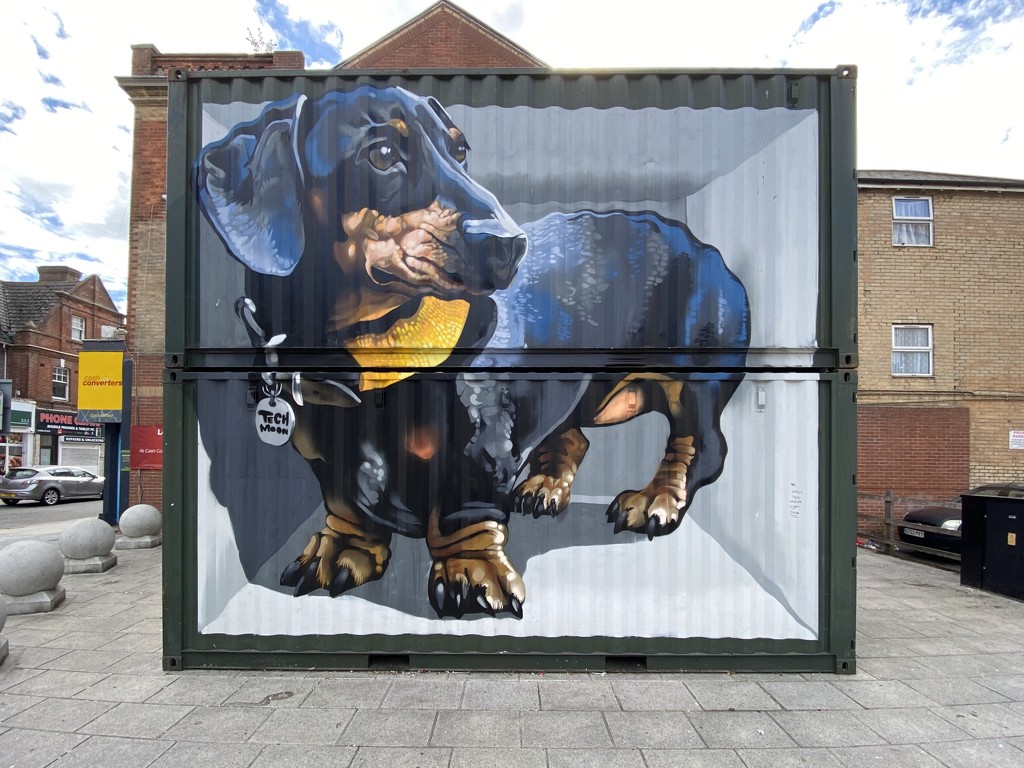 Big Dog in a Box  by judithmullineux