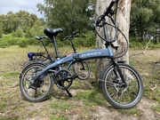 6th Aug 2020 - Cycle in the New Forest 