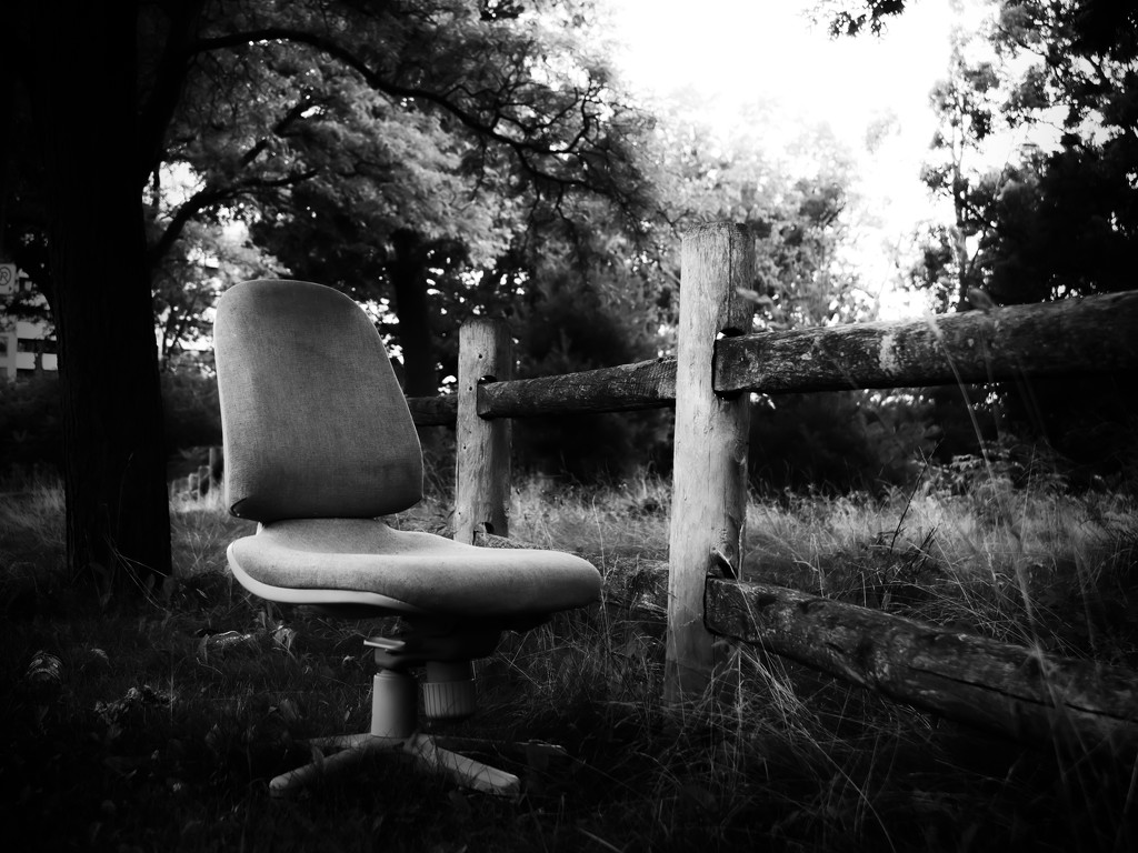 have a seat... by northy