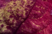 9th Aug 2020 - Abstract #2: Burgundy and Gold 