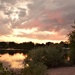 Sunset at Sheldon Lake  - City Park by sandlily