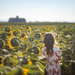 In the Sunflower Field by tina_mac