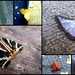 Colourful moths of bristol  by steveandkerry