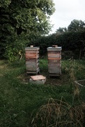 8th Aug 2020 - Beehives