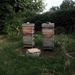 Beehives by allsop