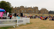9th Aug 2020 - Jazz in the Park