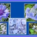 Blue Flower Collage. by grace55