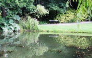 10th Aug 2020 - A Place to Sit and Reflect