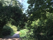 10th Aug 2020 - Morning Walk Along The Canal