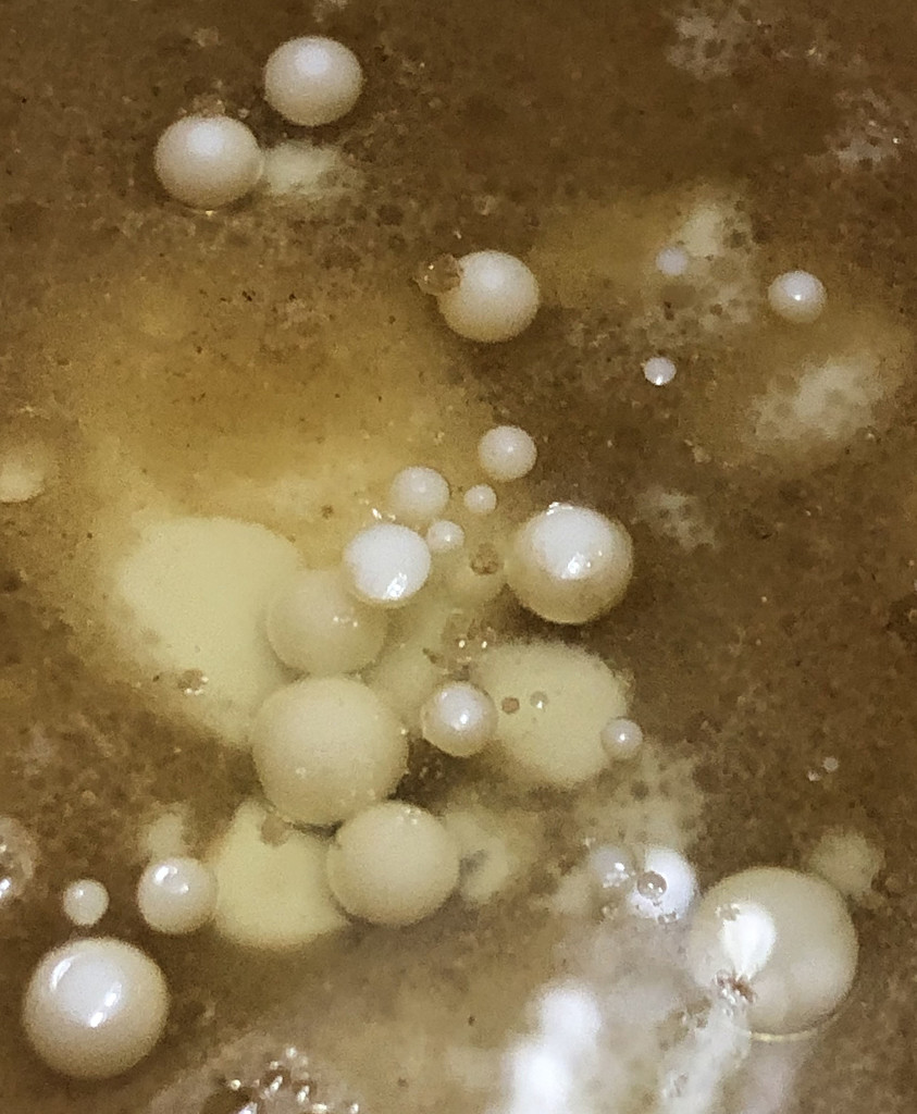 Abstract coffee bubbles by homeschoolmom