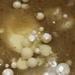Abstract coffee bubbles by homeschoolmom