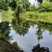 Bridgewater Canal at Dunham, Cheshire by janturnbull