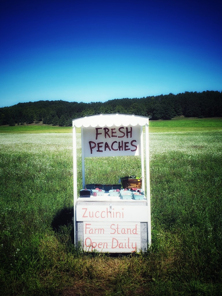 Fresh Peaches by edorreandresen