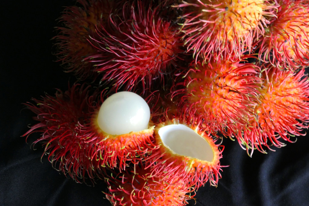 Rambutan Fruit by lilh