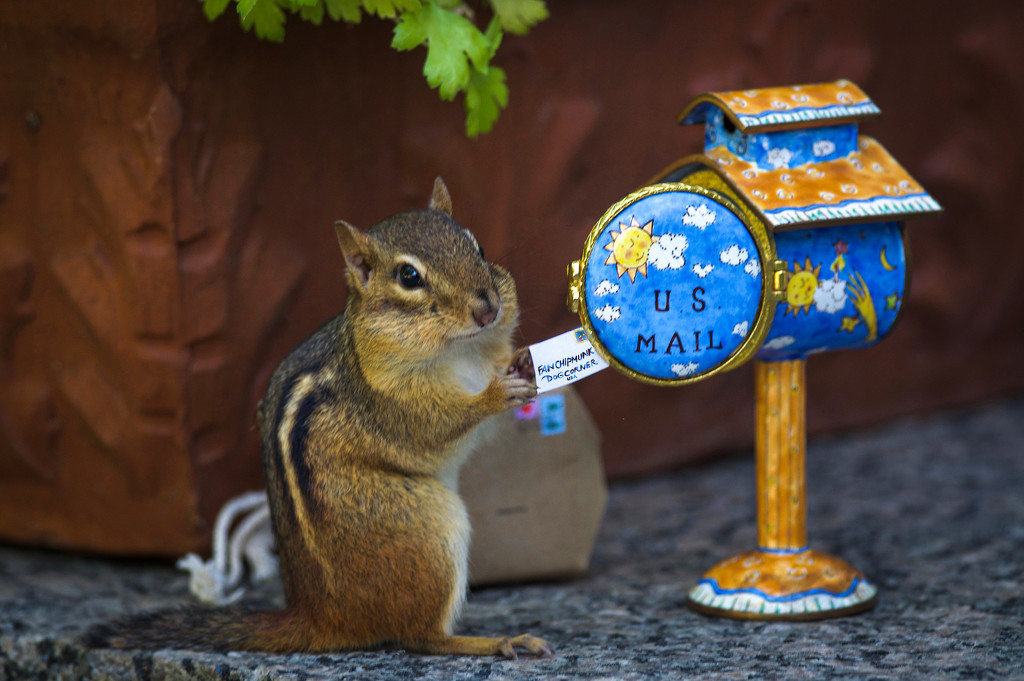 The Chipmunks support the USPS by berelaxed