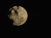 11th Aug 2020 - last weeks moon again
