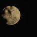 last weeks moon again by koalagardens