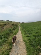 12th Aug 2020 - Walking the Path