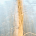 Tree Abstract 3 by annied