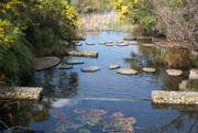 11th Aug 2020 - stepping stones