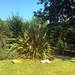 Sunbathing in the garden by jeff