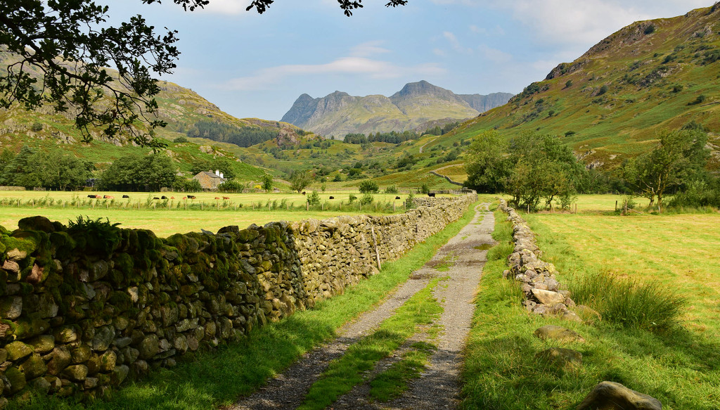 Langdale Pikes by ianmetcalfe