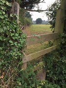 13th Aug 2020 - I wish I could climb over this stile!