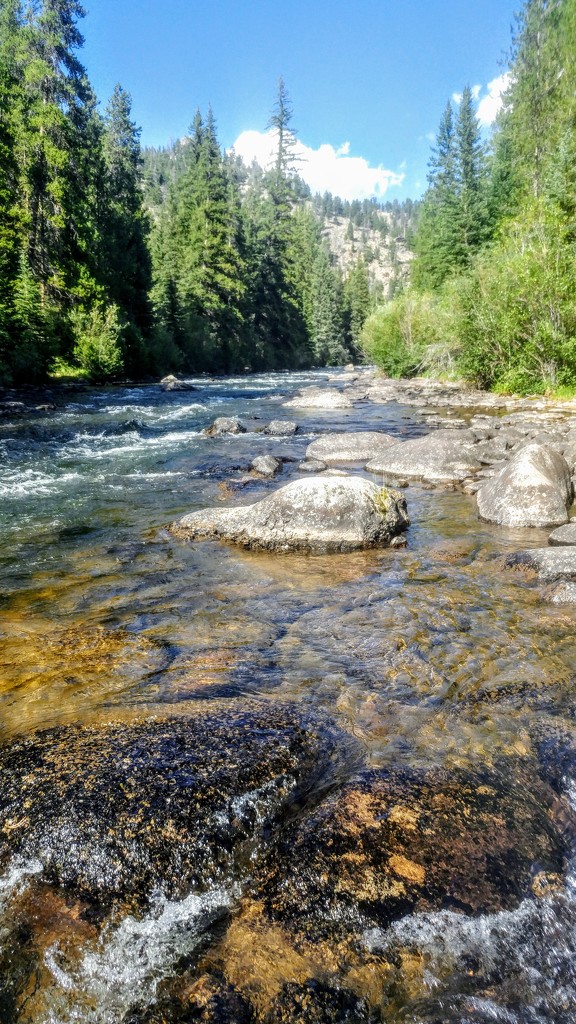 Taylor River by harbie