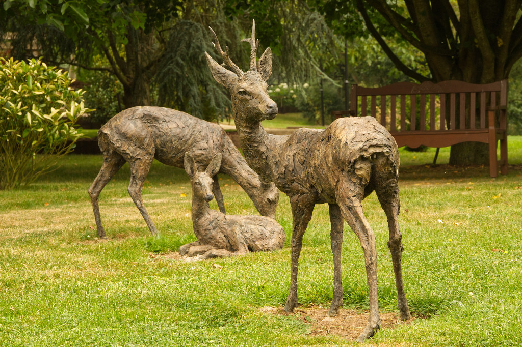 Deer park, Kimcote by bybri