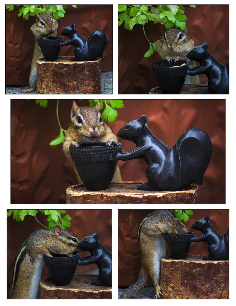 The Chipmunk Cafe by berelaxed