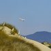 Egret Lookouts by jgpittenger