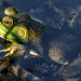Froggy in the Water by farmreporter