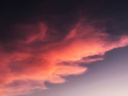 14th Aug 2020 - Pink Cloud