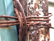 14th Aug 2020 - wires & rust