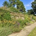 Herbaceous Border at Dartington Hall, Devon... by moominmomma