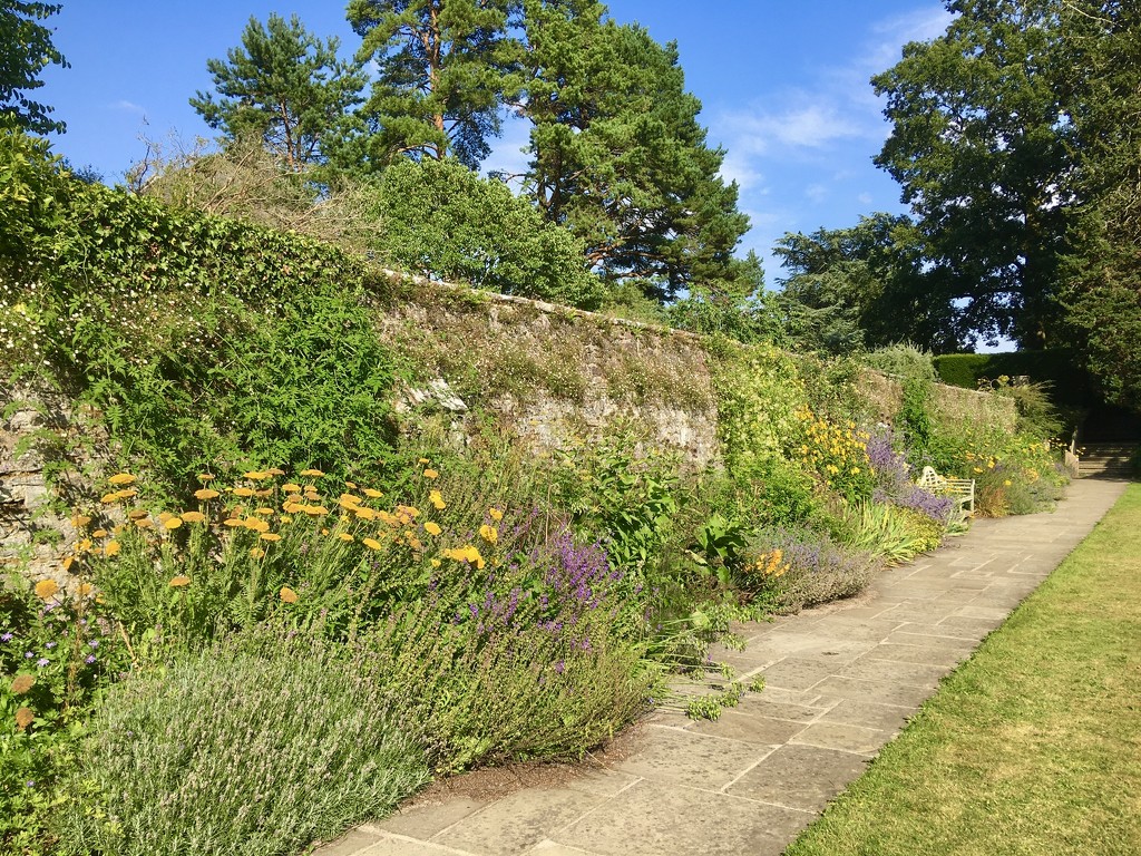 Herbaceous Border, at Dartington Hall in Devon.. by moominmomma