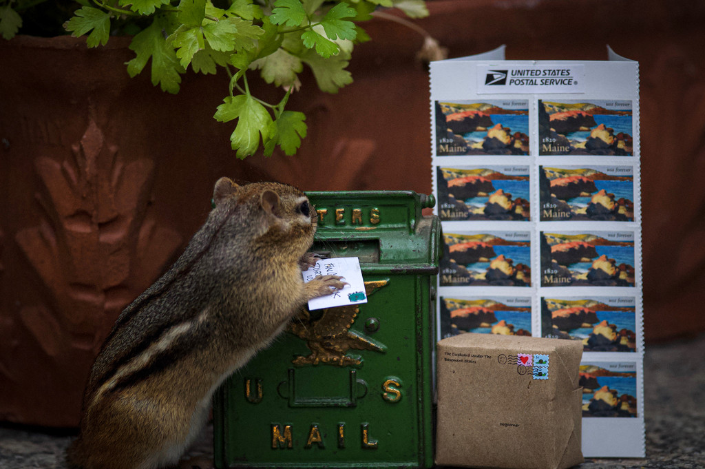 Doing her bit to save the USPS by berelaxed