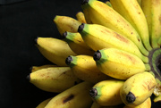 15th Aug 2020 - Tropical Bananas