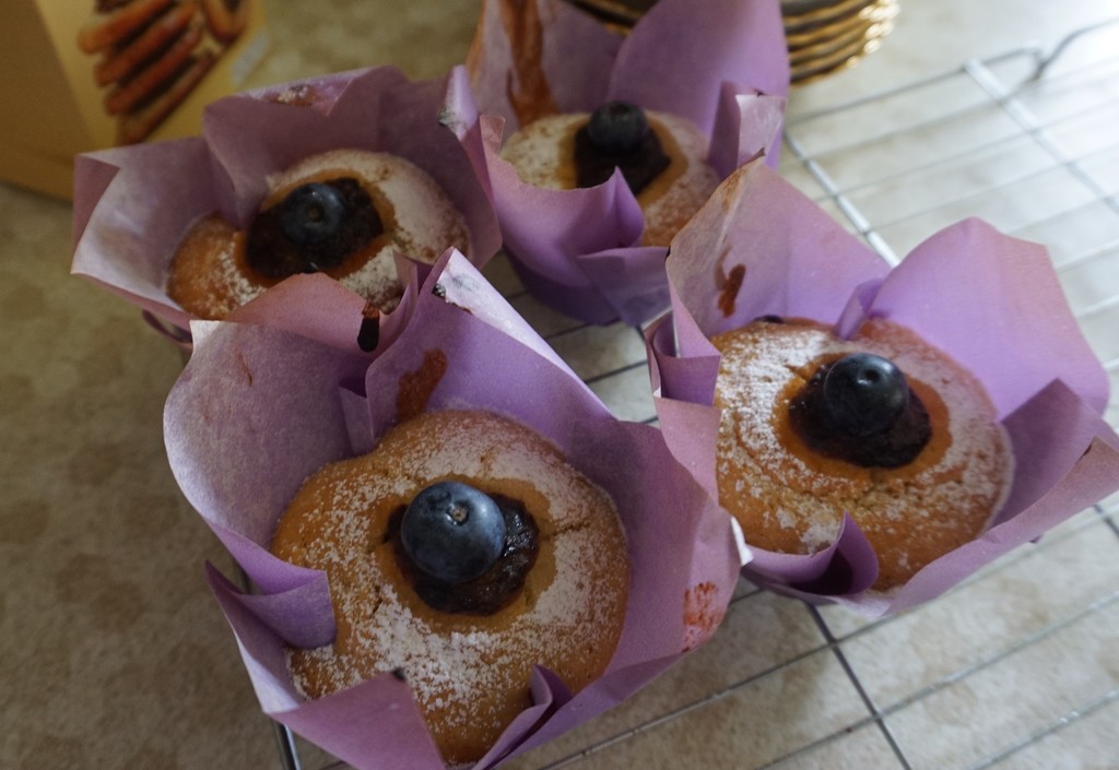 Blueberry Muffins  by sarah19