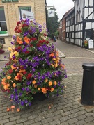 15th Aug 2020 - Leominster in bloom 