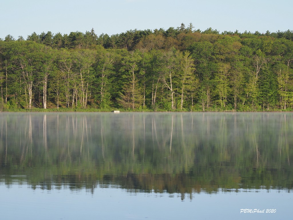 Mist on the Lake by selkie