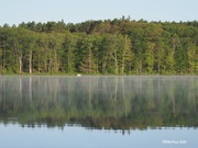 8th Aug 2020 - Mist on the Lake